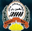 بهمن ری